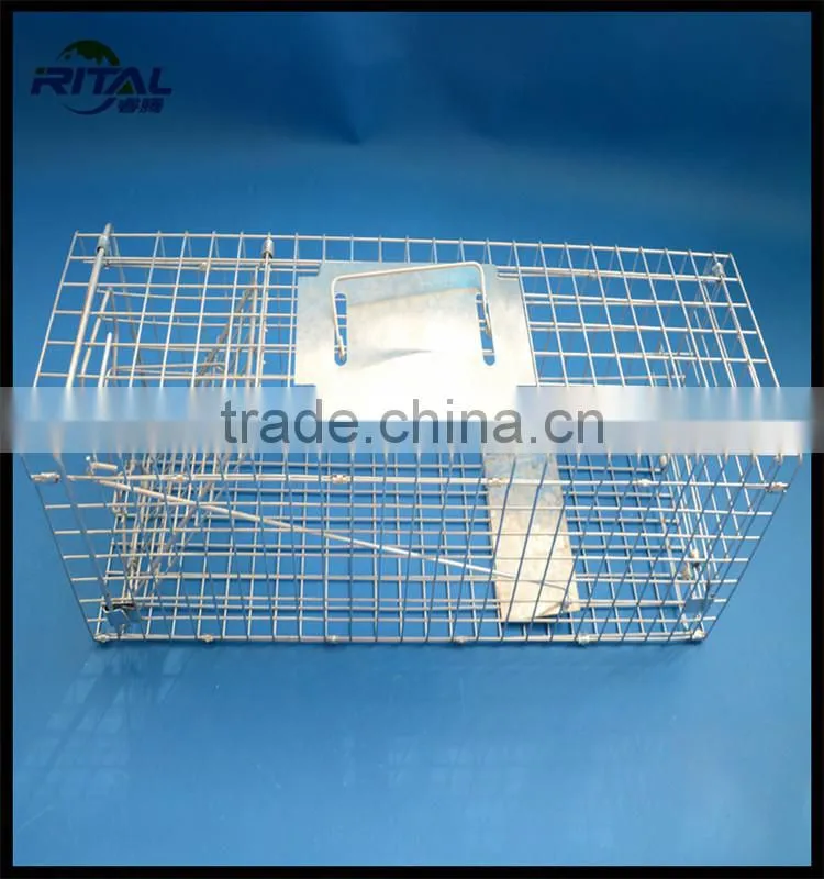 Galvanized Coon Live Cage Trap for Trapping Coon