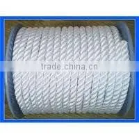 Braided polyester rope