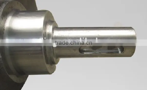 LAIDONG 4954D30GB D495QB-05001 FORKLIFT CRANKSHAFT