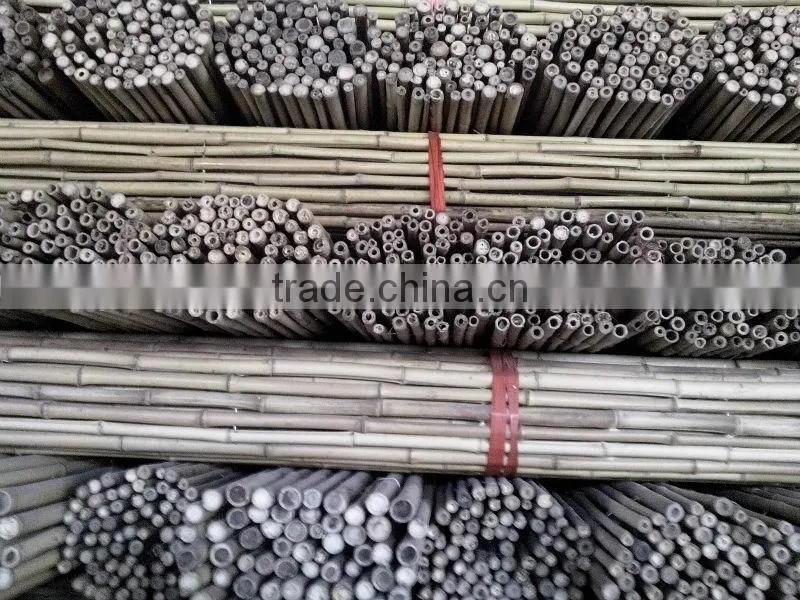 Tonkin Bamboo Cane/Cane Bamboo/Bamboo Pole