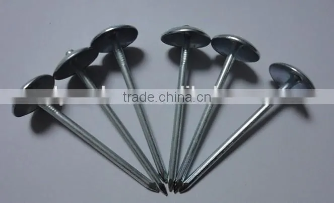 Large head roofing nail china nail factory price from China