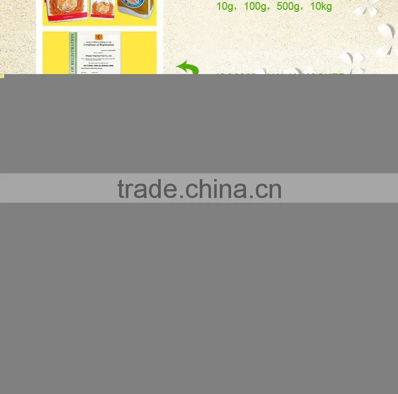 11g BV.HACCP.HALAL.ISO Certificate baker's yeast Manufacturer