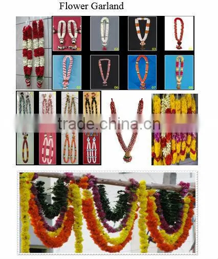 cheap Fresh cut FlowersJasmine