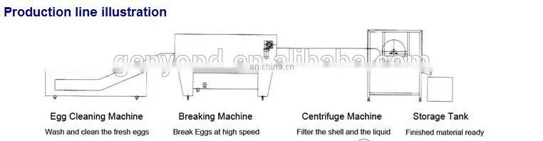 Automatic Egg break yolk and white separated equipment