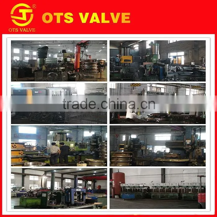 BV-WL-1203Handwheel Soft Seated Lug Butterfly Valve