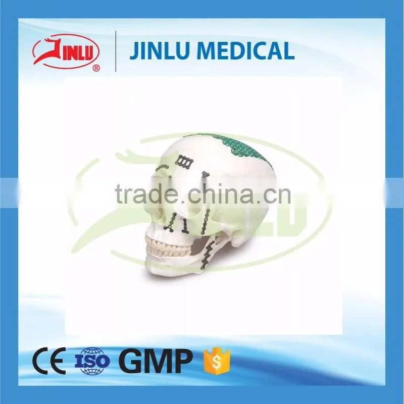 orthopedic implants manufacturer veterinary instruments surgery veterinary,hospital veterinary tools,animal implant plate