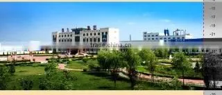 Shandong Ding Li Date Food Group Co., Ltd. company overview - view 1