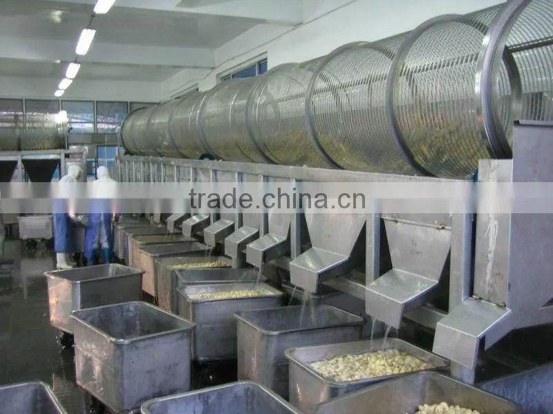 better fresh food import