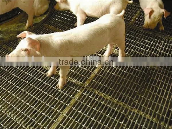 Crimped wire grill mesh machine