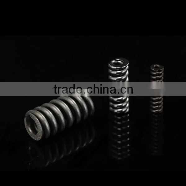 Bosch Fuel Injector Spring 2434619017