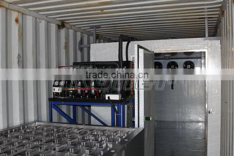 Containerized ice block machine with cold room