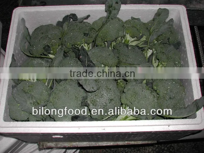 2016 (11-13cm ) chinese fresh broccoli