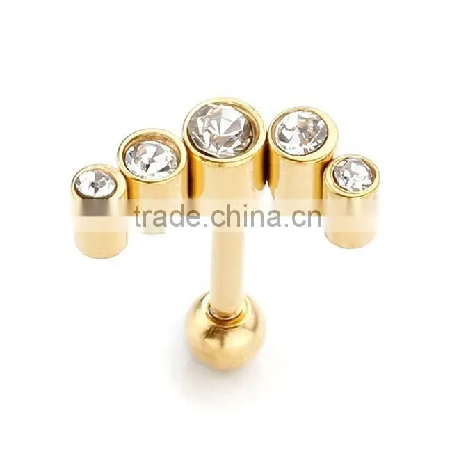 Ebay hot sale rook earrings fresh tunnel plugs stainless steel ear cartilage earrings jewelry fashion earrings