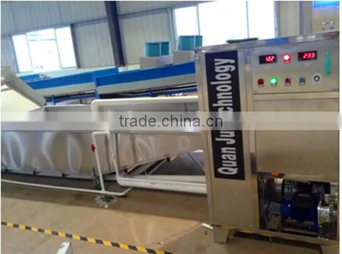 ozone sterilization water /sterilization machine ozone sterilizer