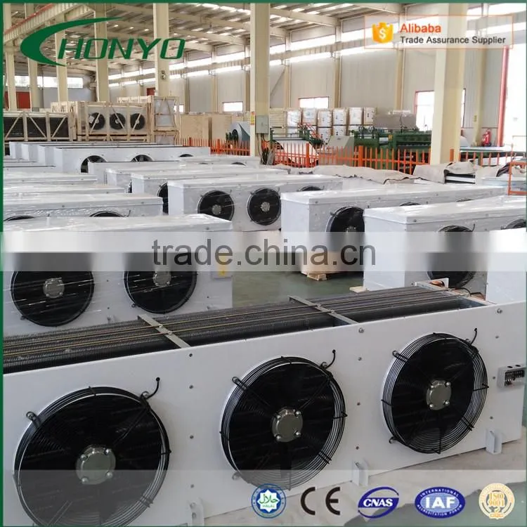 Large Capacity The Pu Panels Modular Walk In Air Blast Fast Deep Freezer Room For Meat Fish