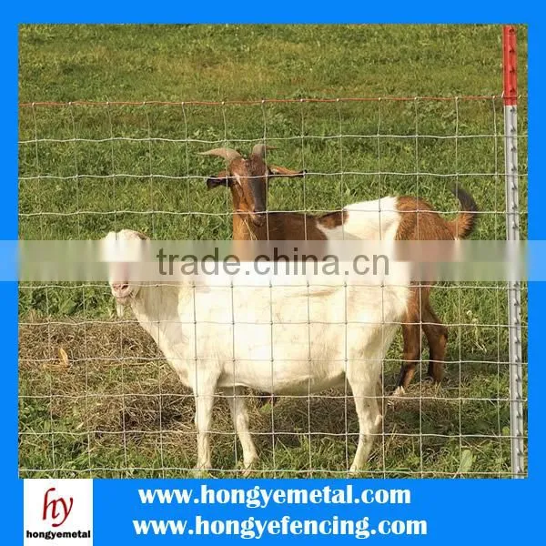 Sheep Wire Mesh Fence(Hot Sale)