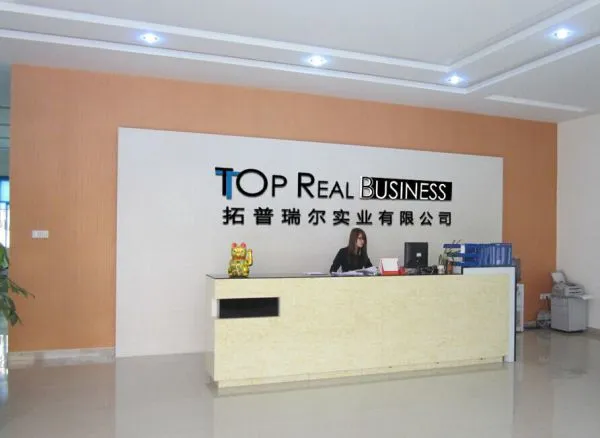 Top Real Business Limited company overview - view 1