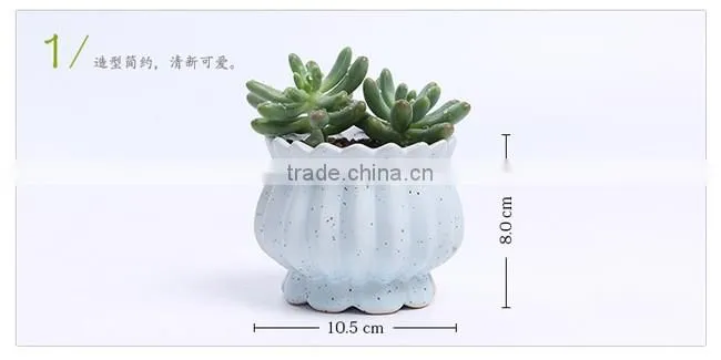 New design succulent plants ceramic indoor planters