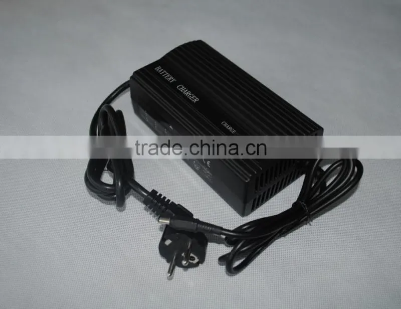 frog style 24V LiFePO4 battery for ebike