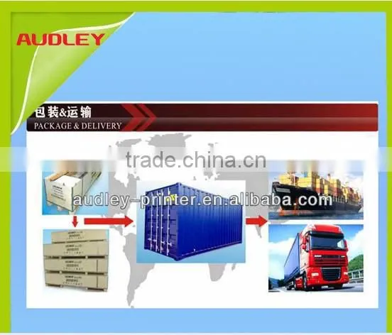Audley Digital Eco Flex Banner inkjet printer|Large format outdoor plotter eco solvent printer ADL-A1951