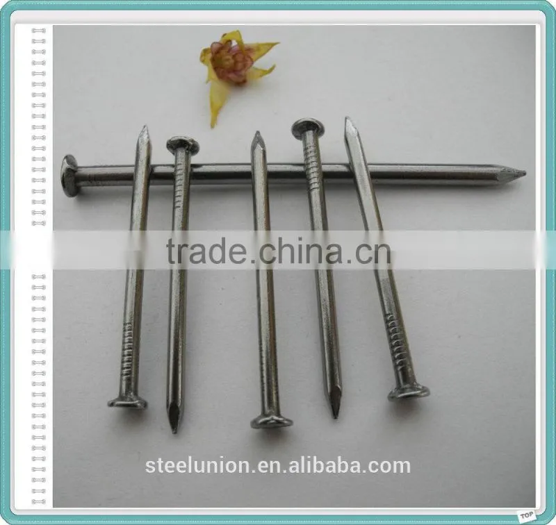 2.5" Polished Nail/Common Nail/Wire Nail