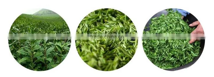 Organic Oolong tea/Loose weight Oolong tea