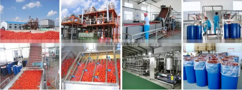 Factory Industrial small scale tomato crushing pulping machine cooking equipment tomato ketchup paste plant production line