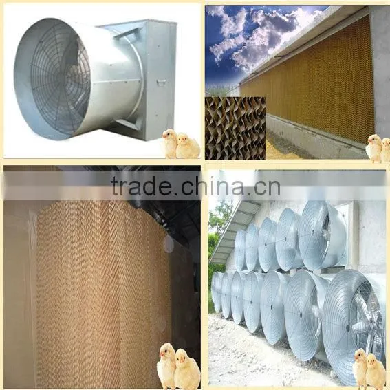 hot galvanized birdsitter poultry farm ventilation fans
