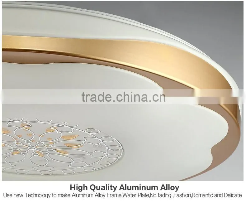 2016 hot sales mount ceiling light big for living room 80W to 160W