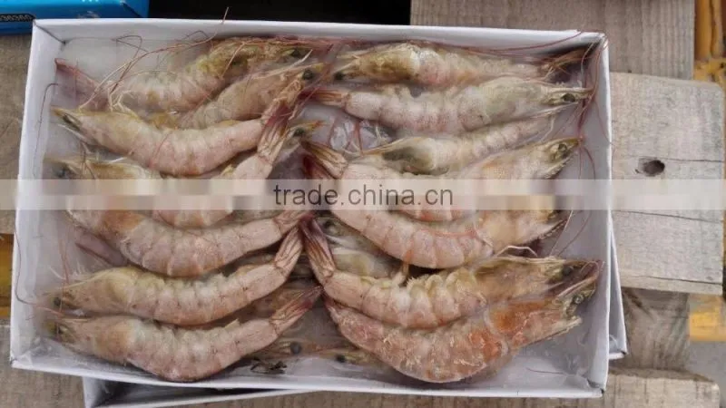 sea frozen vannamei white shrimp