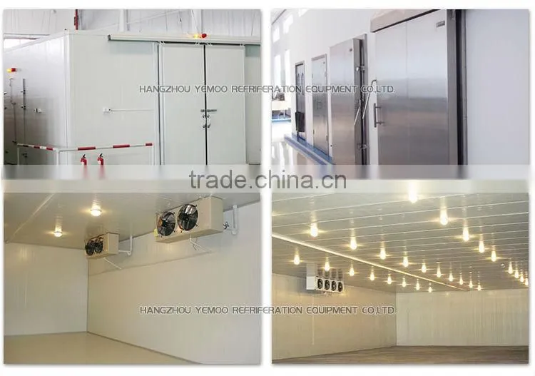 hangzhou 3-5 tons of meat cold storage for chicken farm