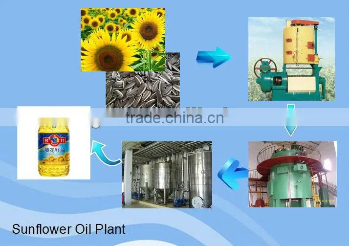Professional technology for sunflowerseed oil refining,seed oil refinery process equipment,oil refining machine workshop