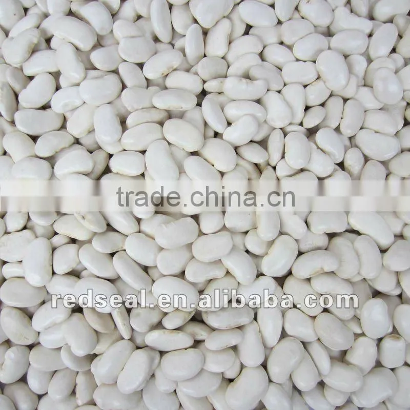 Yunnan Organic white kidney beans