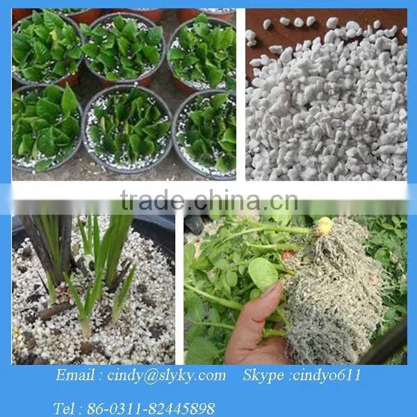 Horticultural And Agriculture Perlite supplier
