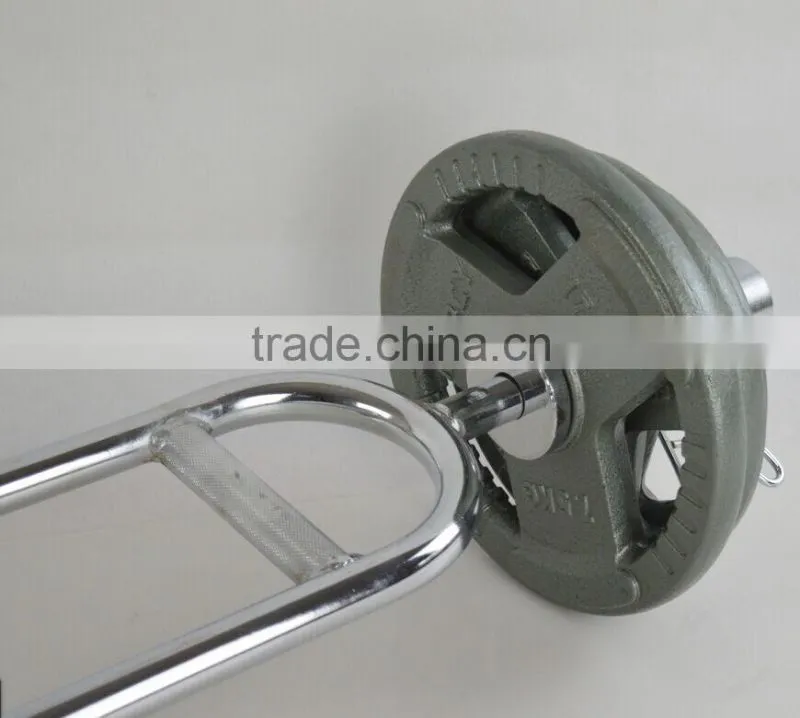handle painting olympic barbell weight plate in weight lifting