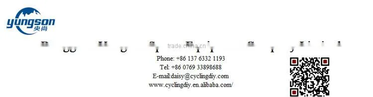 chinese 700c*38m Carbon road bike DT Hub wheels