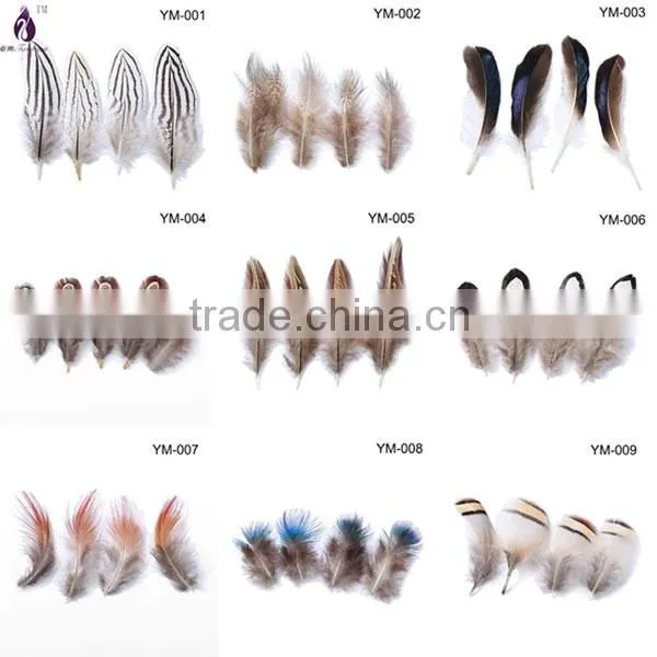 Natural color pheasant chicken feather for hat and party decoration,cheap feathers