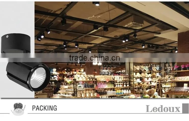 adjustable high power 30w cob led ceiling light