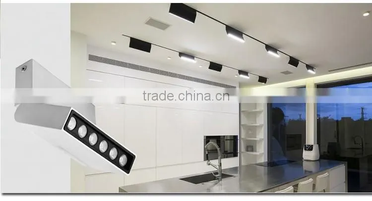 New fashion indoor led acrylic ceiling lamp