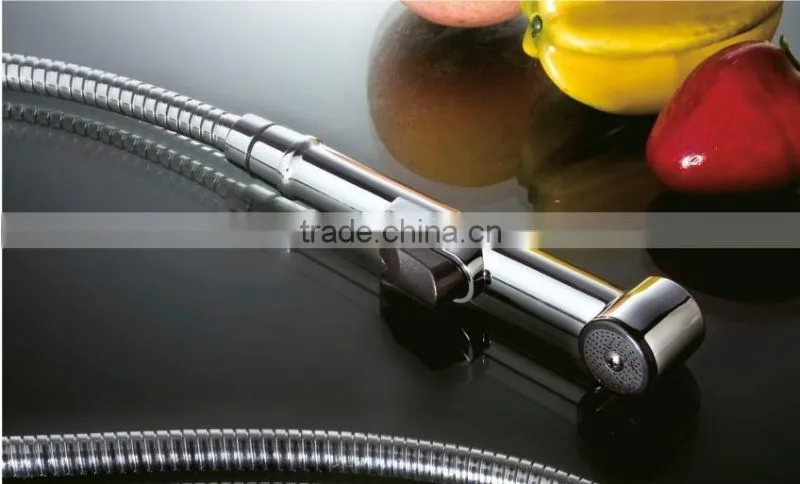 Plastic Bidet Spray SPD010