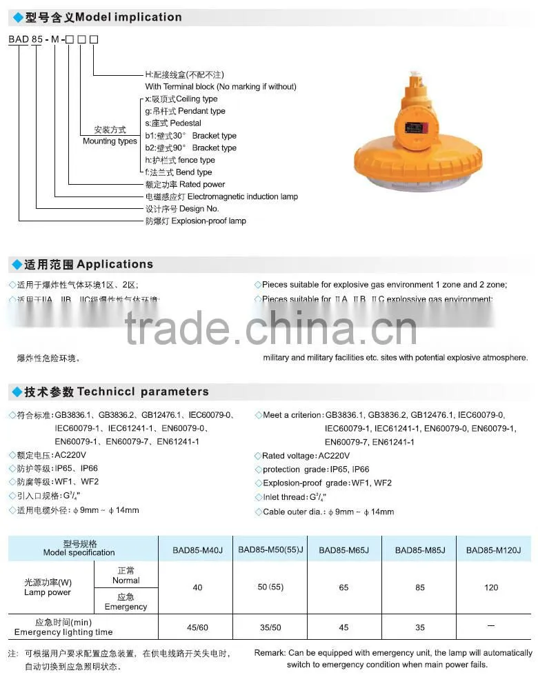 30 watt explosion proof electrode less lamp