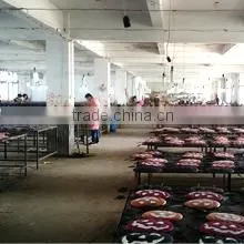 FJ Quanzhou Fanta Craft Co., Ltd. company overview - view 3