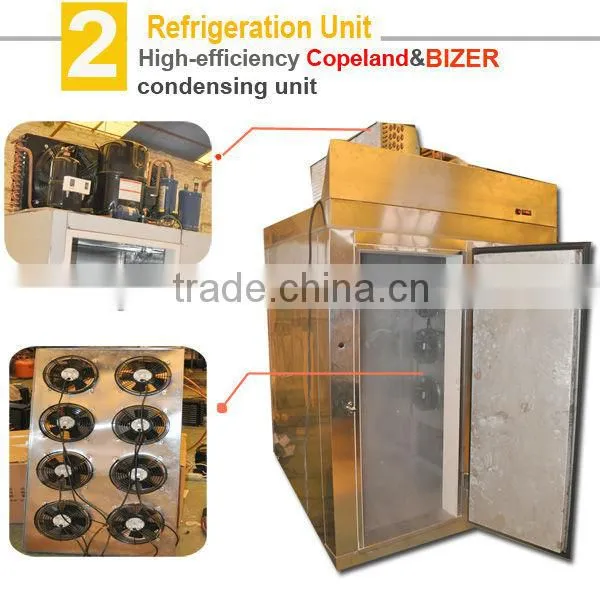 instant freezer for 300kg strawberry freezing