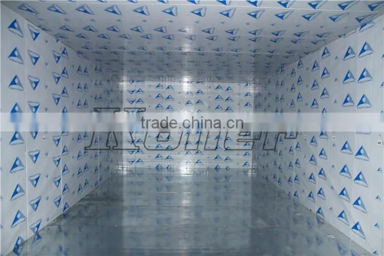 Koller New Technology 15 tons Cold Storage Room with PU panels for fish meat