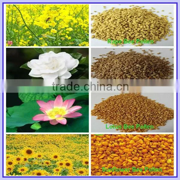 Supply bulk natural bee pollen