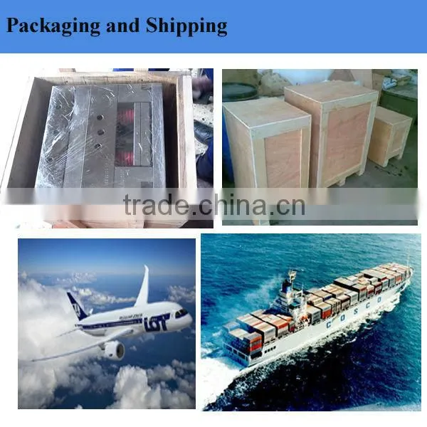 OEM High Polish Hot Runner Custom Plastic Injection Molding