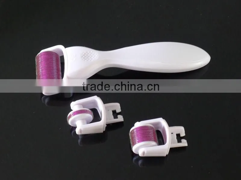 2016 Flagship ! wholesale home use 3 in 1 micro derma roller kit