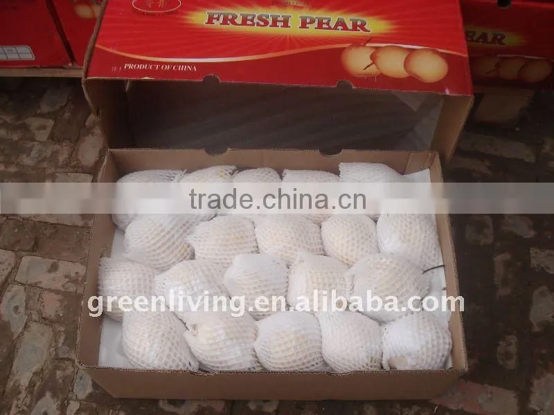 taste best fresh ya pear (white colour)