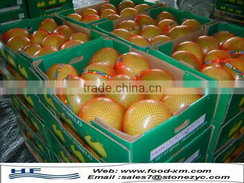 honey pomelo (shaddock) from China(citrus fruit)