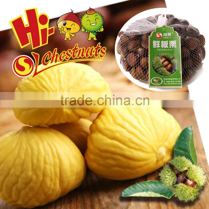 New Crop fresh chestnut wholesale price